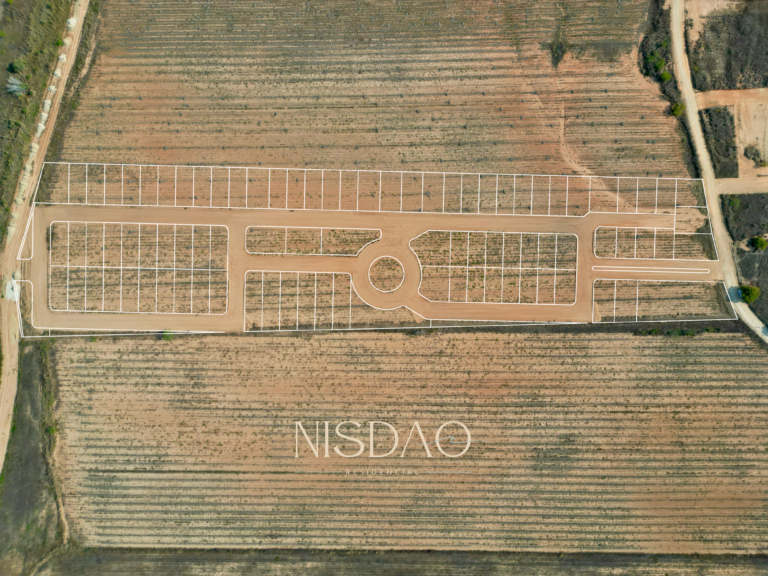 NISDAO_1 (2)