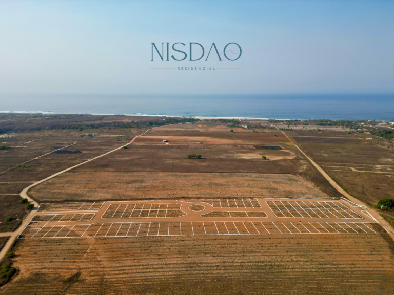 NISDAO_2