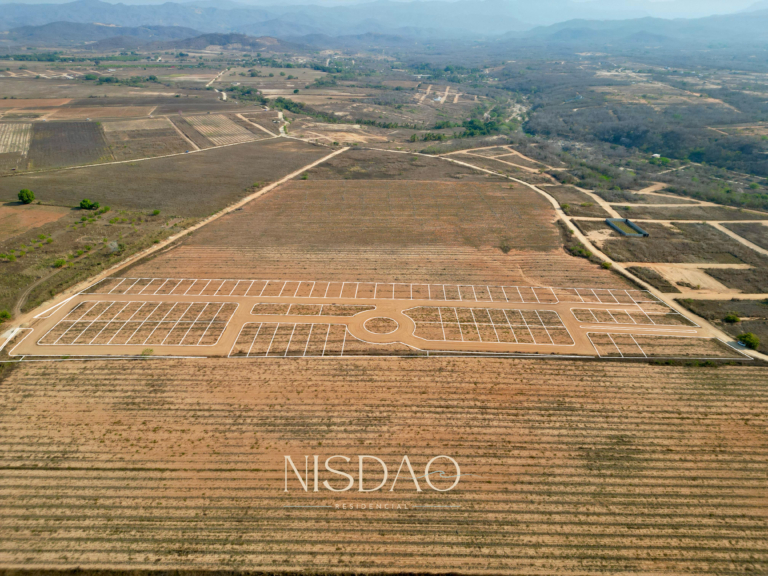 NISDAO_3