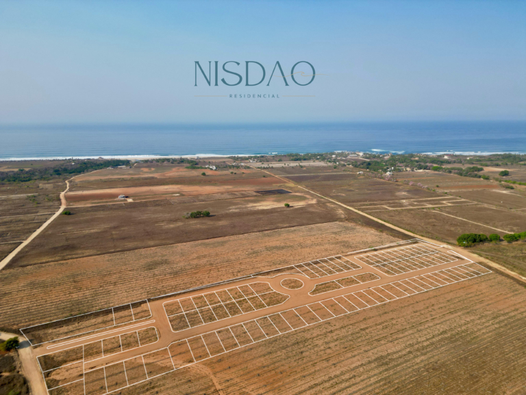 NISDAO_4