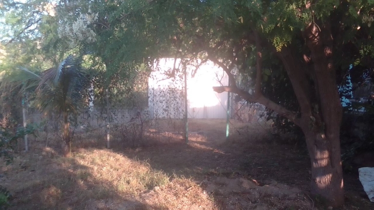 WhatsApp Image 2025-02-04 at 10.07