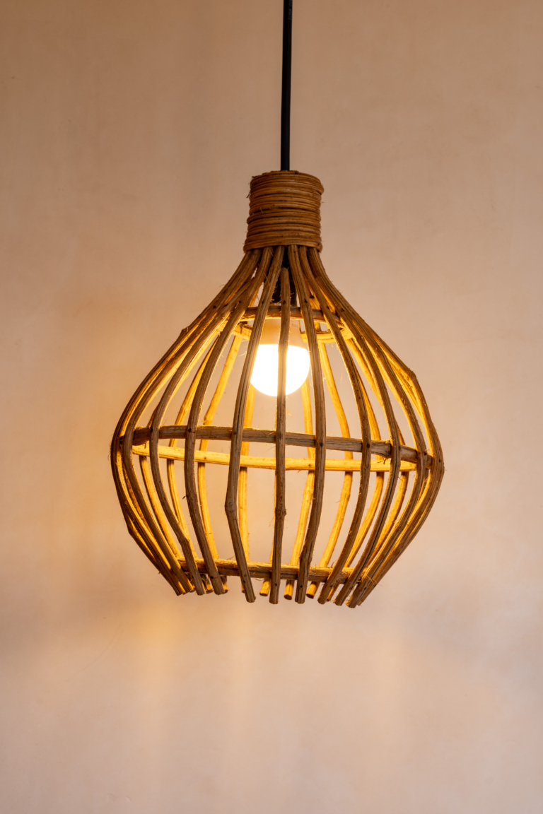 Aaloja-T Oct 2024_10