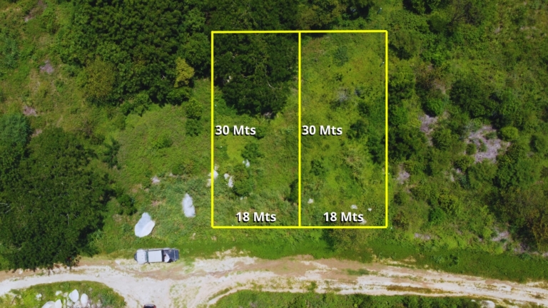 WhatsApp Image 2025-10-29 at 4.21