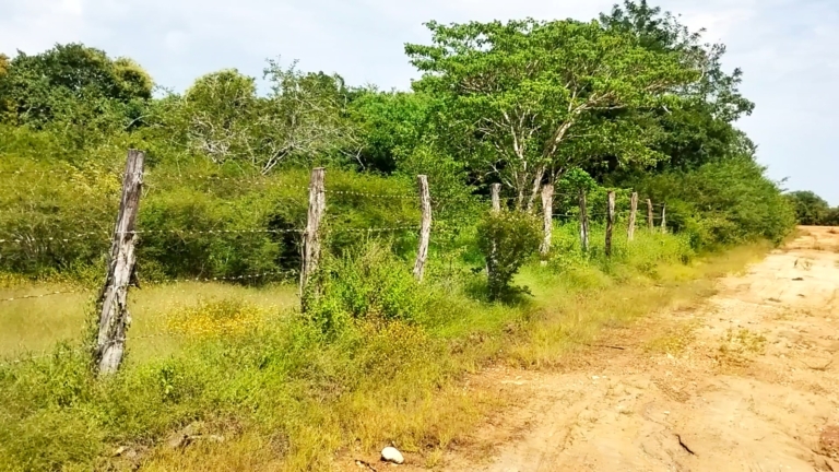 WhatsApp Image 2025-10-16 at 11.24