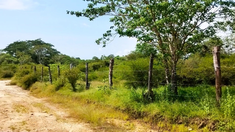 WhatsApp Image 2025-10-16 at 11.24