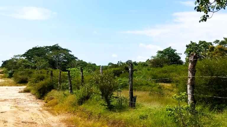 WhatsApp Image 2025-10-16 at 11.24