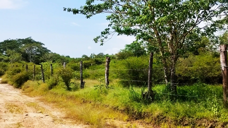 WhatsApp Image 2025-10-16 at 11.24