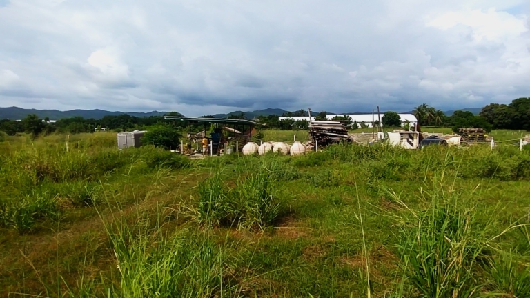 WhatsApp Image 2025-10-16 at 11.25