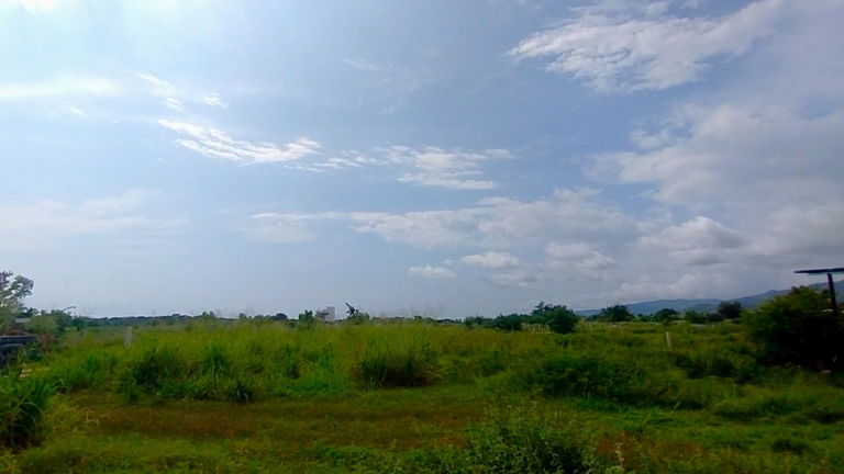 WhatsApp Image 2025-10-16 at 11.26