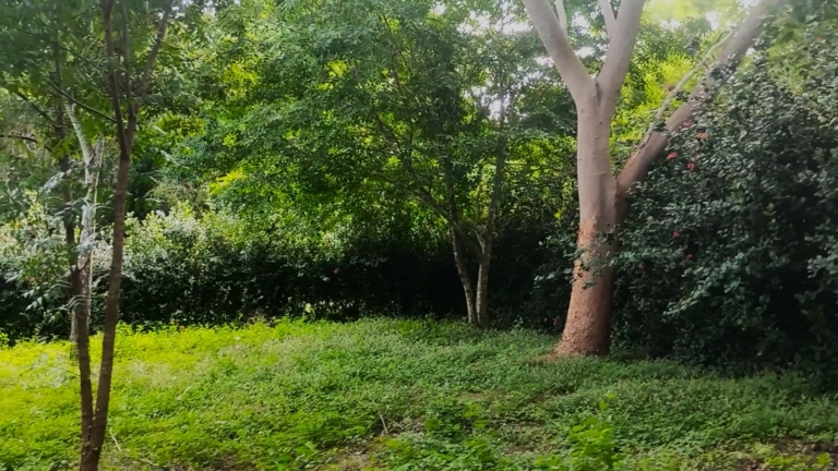 WhatsApp Image 2025-11-08 at 1.25