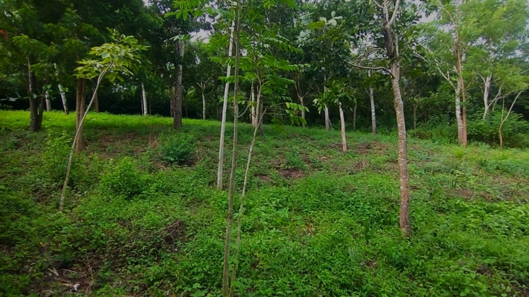 WhatsApp Image 2025-11-08 at 1.25