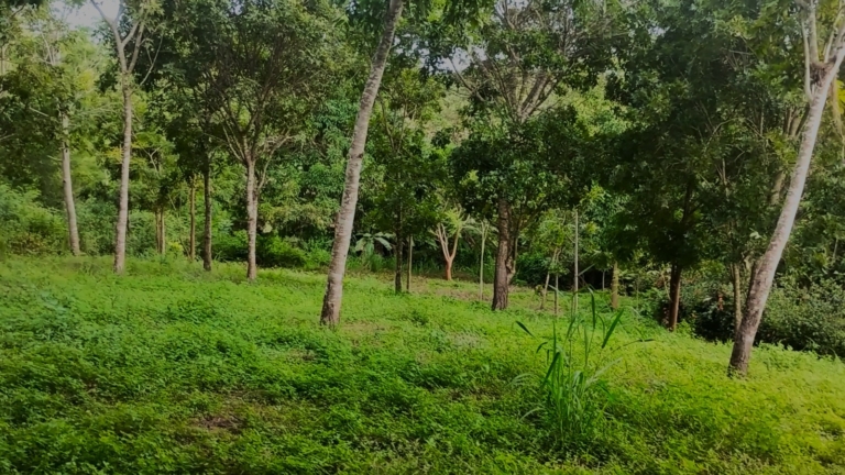 WhatsApp Image 2025-11-08 at 1.25