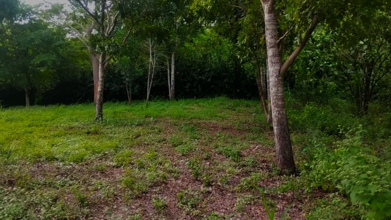 WhatsApp Image 2025-11-08 at 1.25