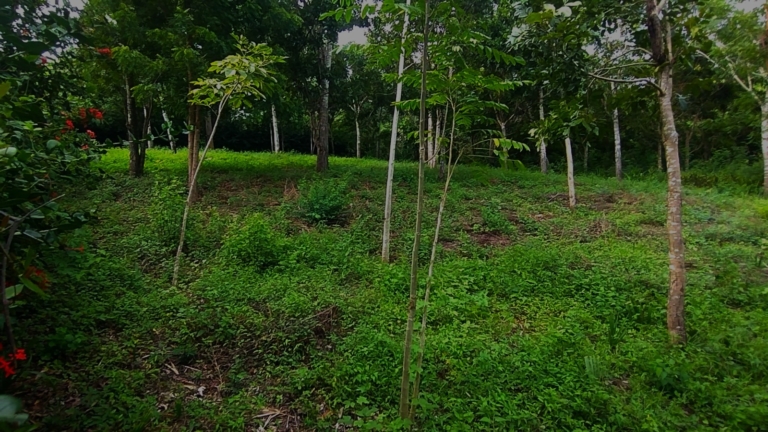 WhatsApp Image 2025-11-08 at 1.25