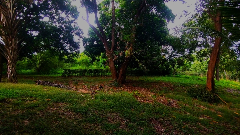 WhatsApp Image 2025-11-08 at 1.25