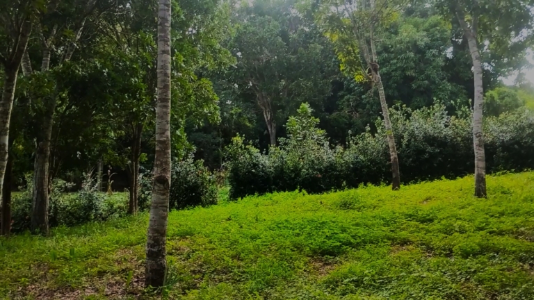 WhatsApp Image 2025-11-08 at 1.25