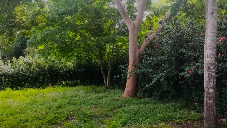 WhatsApp Image 2025-11-08 at 1.25