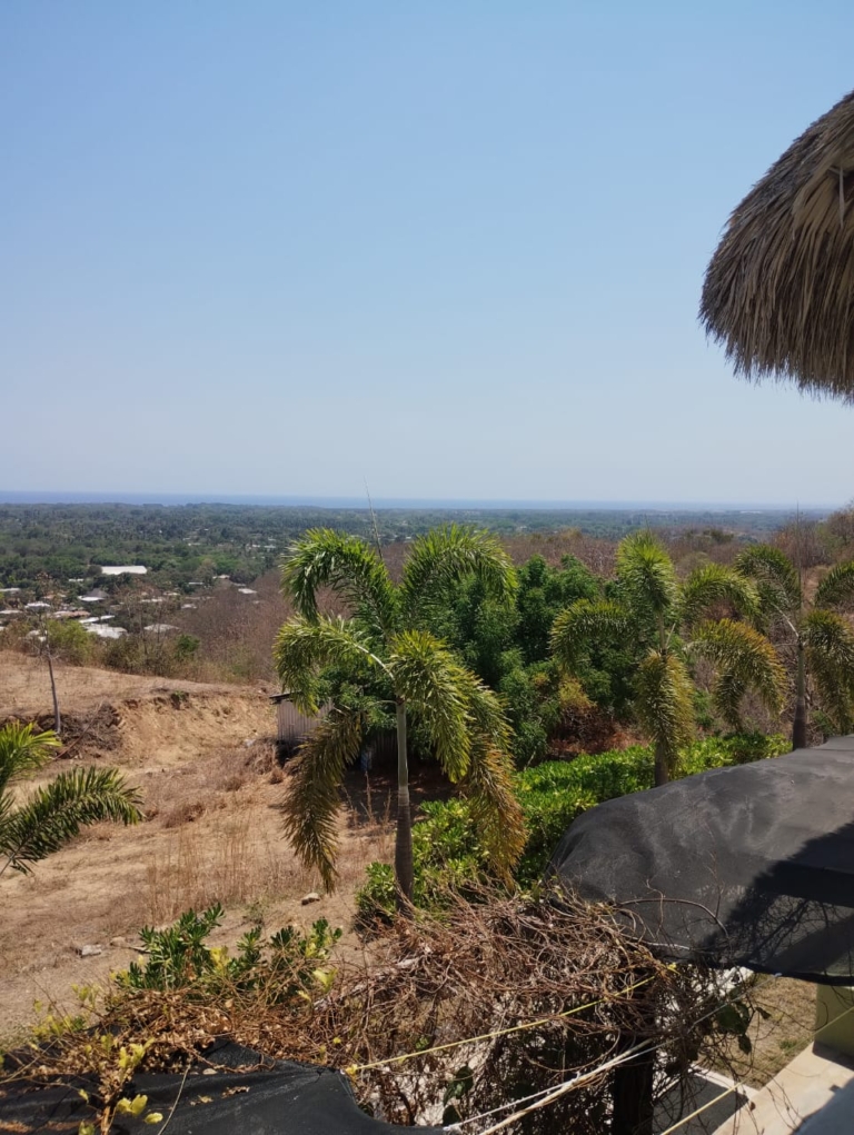 WhatsApp Image 2025-11-08 at 11.32