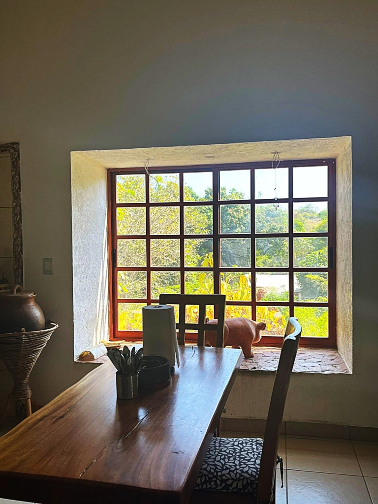 WhatsApp Image 2025-11-08 at 11.32