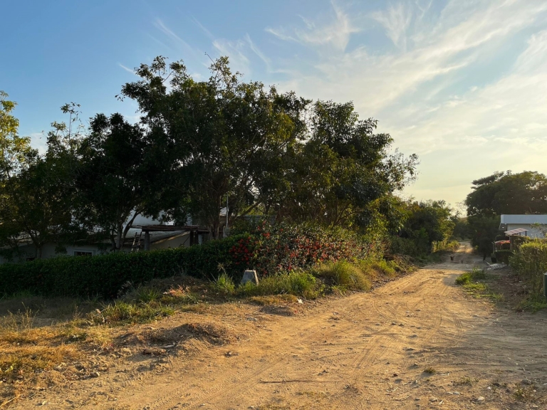 WhatsApp Image 2025-11-08 at 11.32