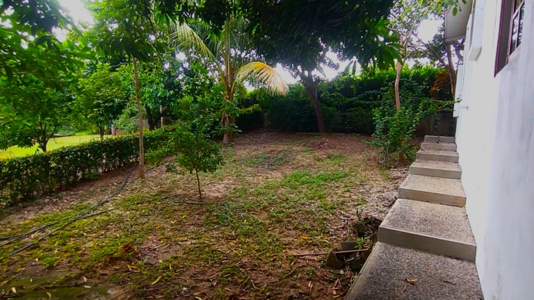 WhatsApp Image 2025-11-08 at 11.32