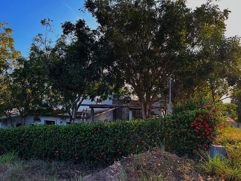 WhatsApp Image 2025-11-08 at 11.32