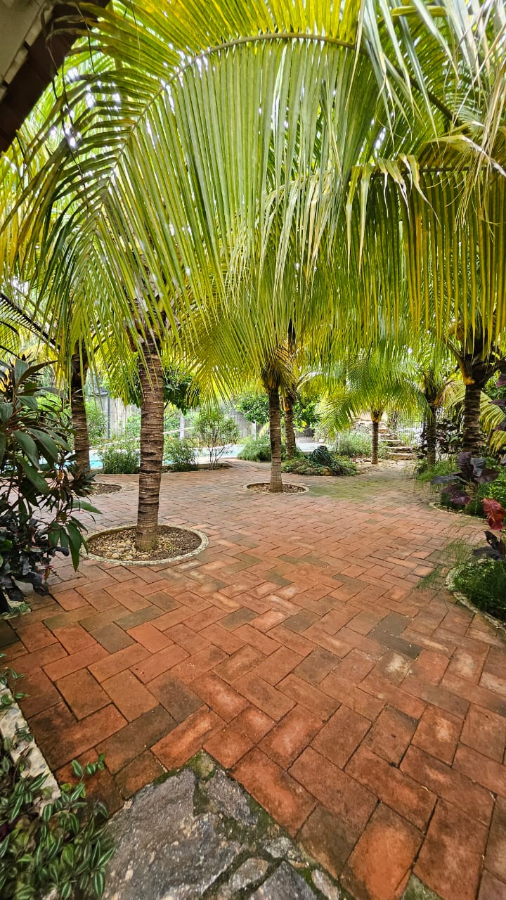 WhatsApp Image 2025-11-08 at 11.35