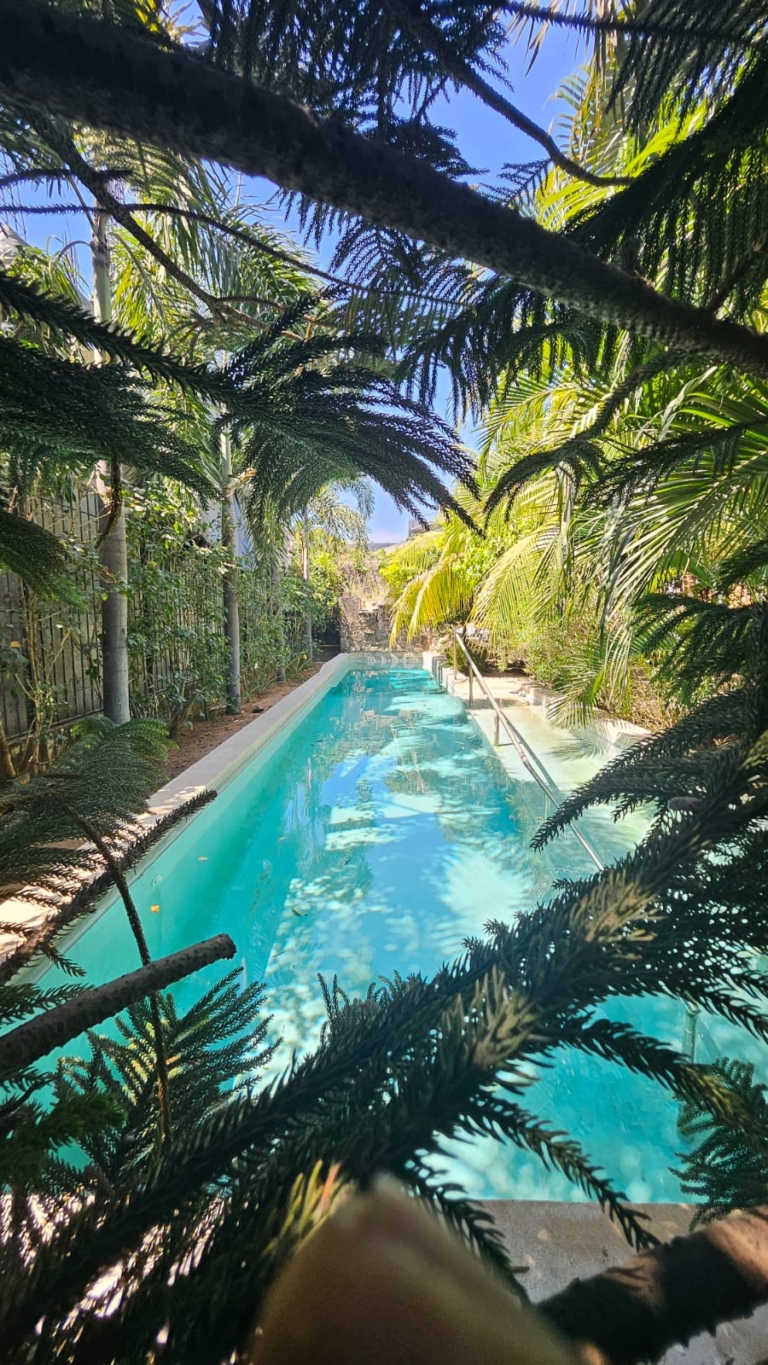 WhatsApp Image 2025-11-08 at 11.35