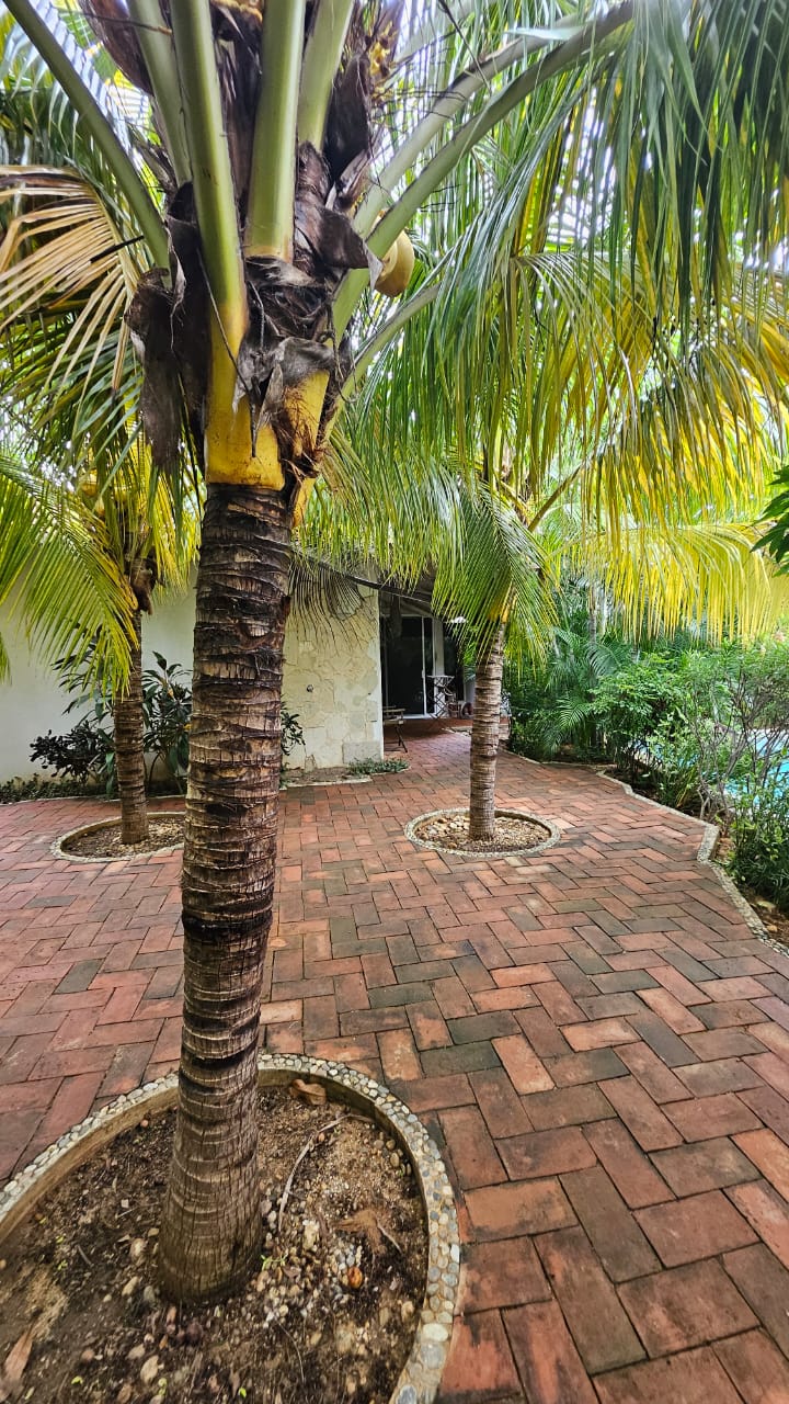 WhatsApp Image 2025-11-08 at 11.35