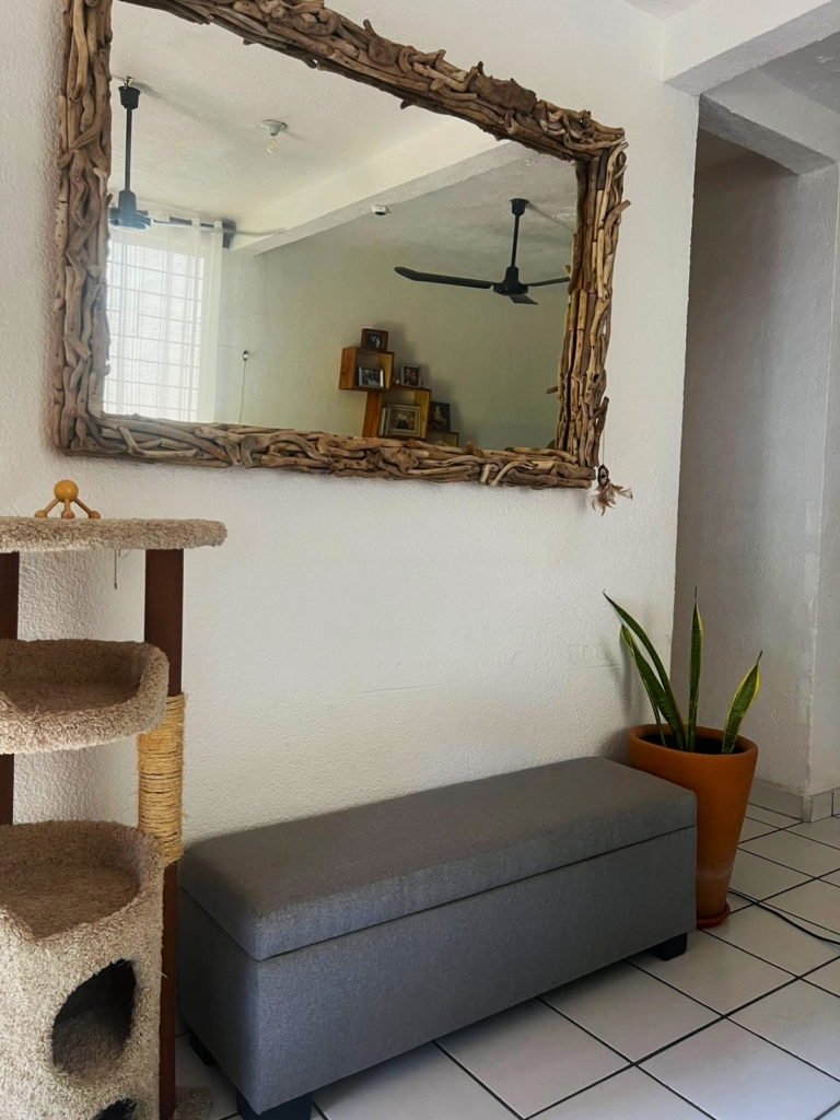 WhatsApp Image 2025-11-08 at 2.04